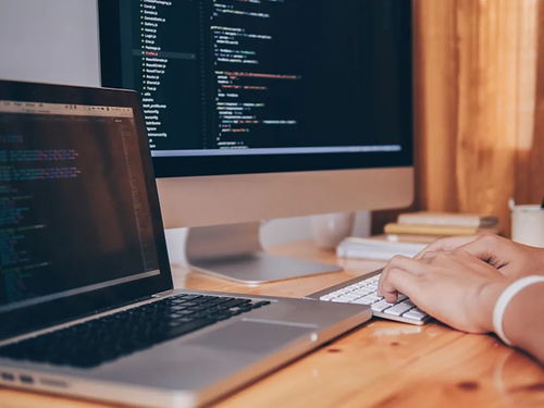 软件及辅助设备 从跨领域视角看我的专业路径